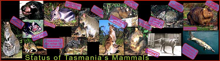 Status of Tasmanian Mammals